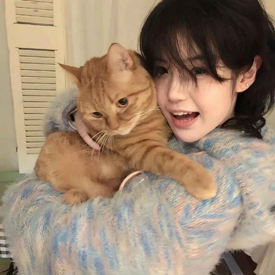 几回魂梦与君同